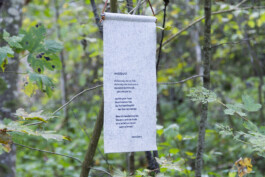 Maria Erika Lyrikweg | Andelsbuch-Egg im Bregenzerwald