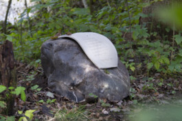 Maria Erika Lyrikweg | Andelsbuch-Egg im Bregenzerwald