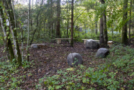 Maria Erika Lyrikweg | Andelsbuch-Egg im Bregenzerwald