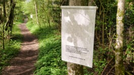 Maria Erika Lyrikweg | Andelsbuch-Egg im Bregenzerwald