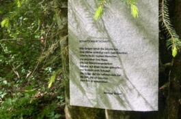 Maria Erika Lyrikweg | Andelsbuch-Egg im Bregenzerwald